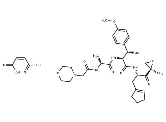 Zetomipzomib maleate