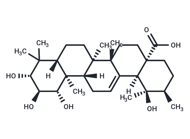 1,2,3,19-Tetrahydroxy-12-ursen-28-oic acid