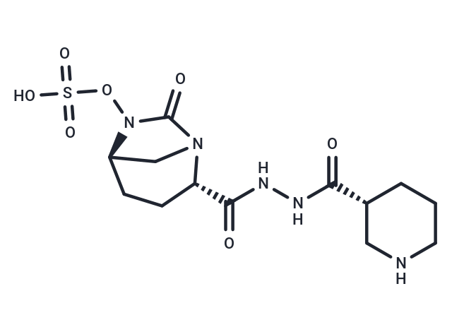 Zidebactam