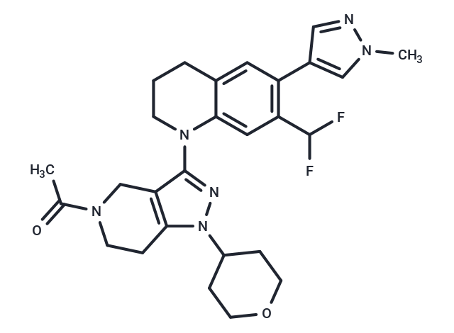 GNE-049