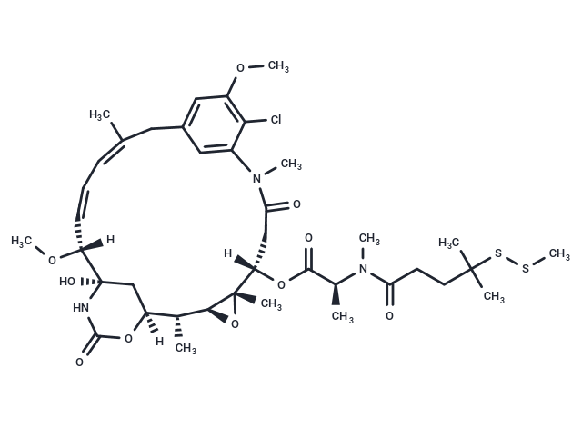 DM4-SMe