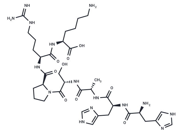 CDK2