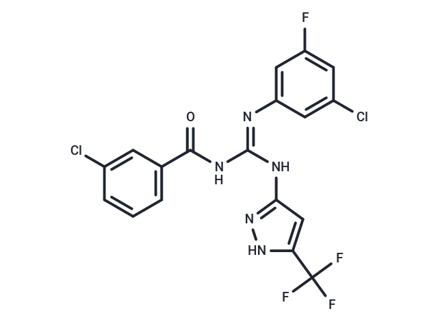 Parimifasor