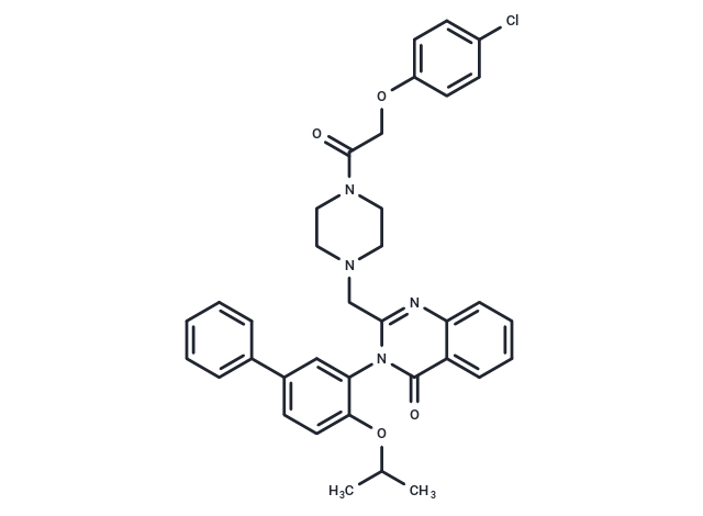 Erastin2