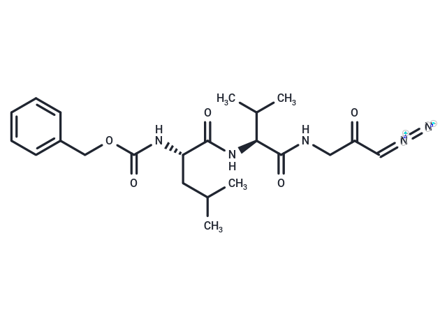 Z-LVG-CHN2