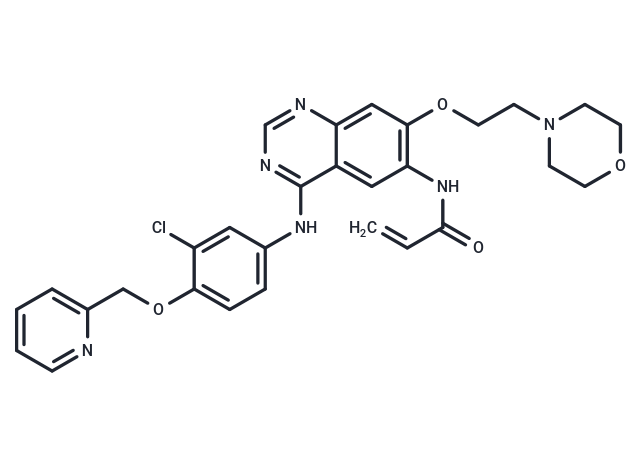 Tuxobertinib