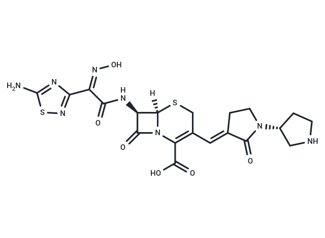 Ceftobiprole