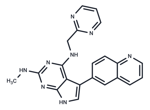 T025