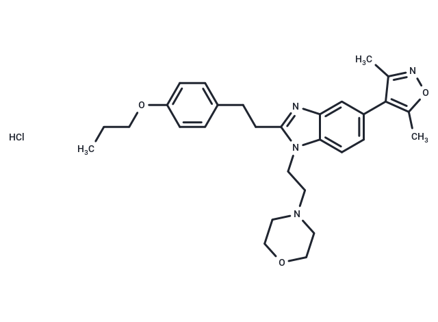 PF-CBP1 hydrochloride