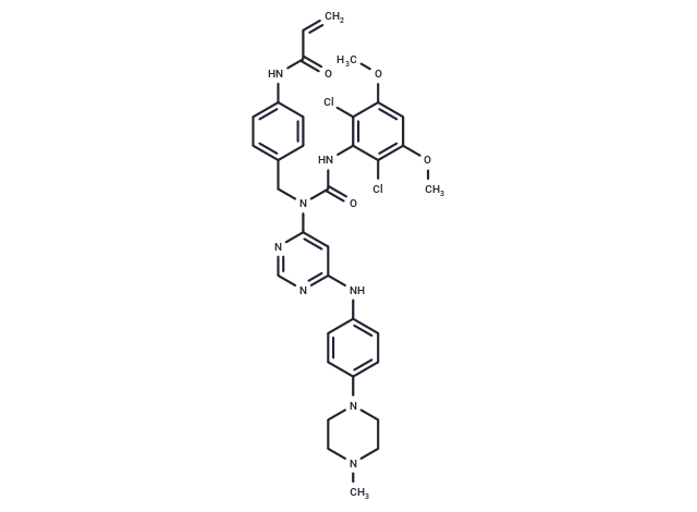 FIIN-3