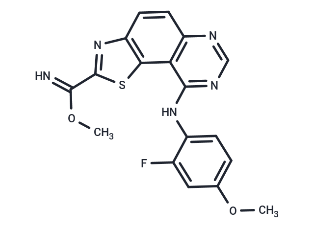 EHT 1610