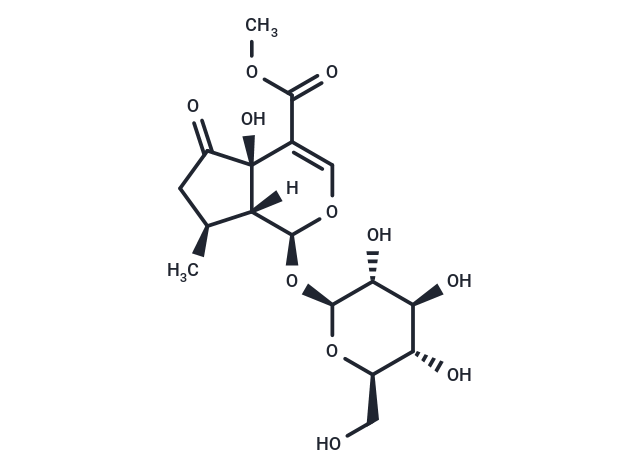 Hastatoside