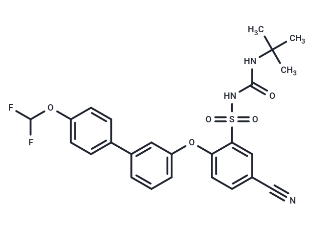 NTP42