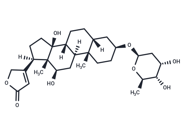 Digoxigenin Monodigitoxoside