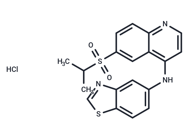 GSK872 HCl（1346546-69-7 free base）