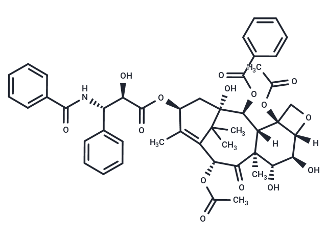 6α-hydroxy Paclitaxel