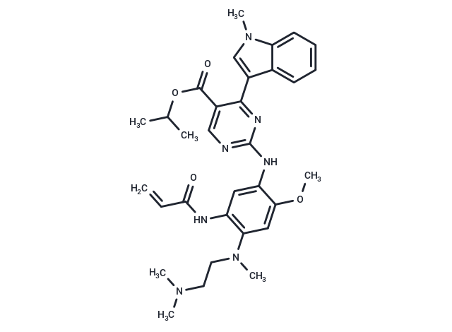 Mobocertinib