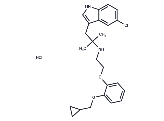 RS 17053 hydrochloride