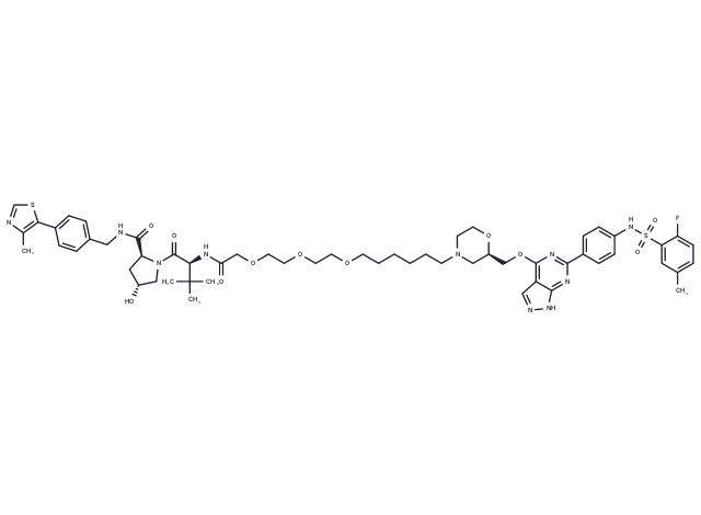 PROTAC SGK3 degrader-1