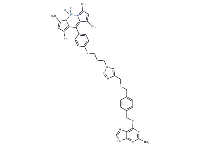 PYBG-BODIPY