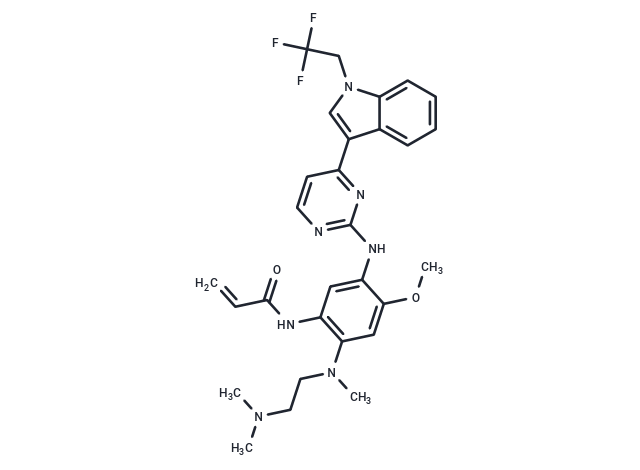 Befotertinib