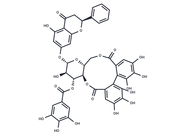 Pinocembrin 7-O-[3''-O-galloyl-4'',6''-hexahydroxydiphenoyl]-β-D-glucoside