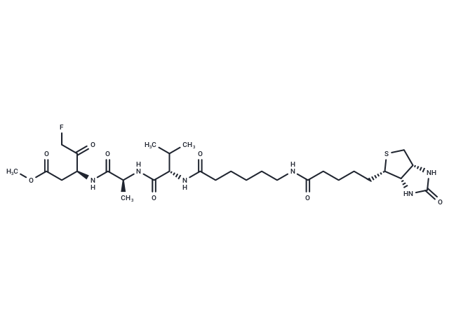 Biotin-VAD-FMK