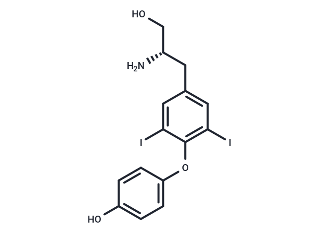 T2AA