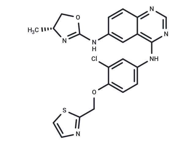 Varlitinib