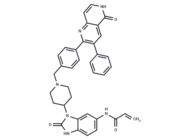 Borussertib