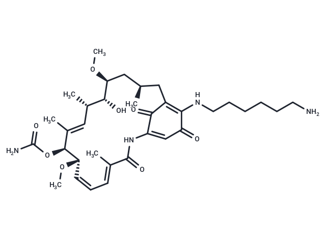 Aminohexylgeldanamycin