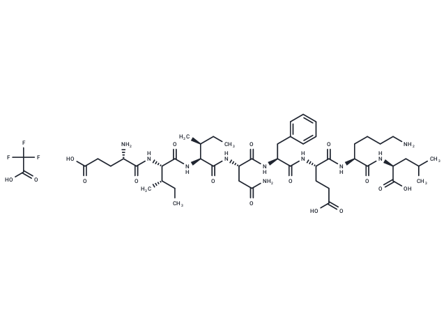 OVA-E1 peptide TFA