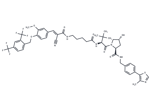 PROTAC ERRα Degrader-3