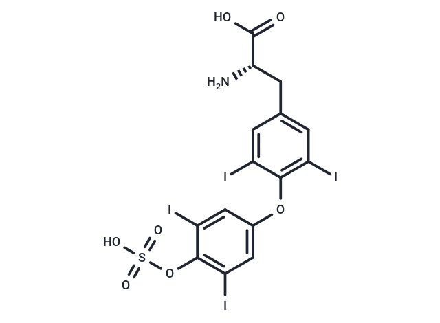 Thyroxine sulfate