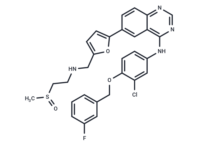 Selatinib