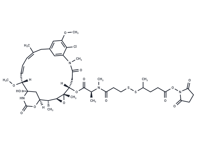 SPP-DM1