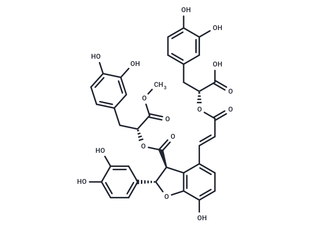 9''-Methyl salvianolate B