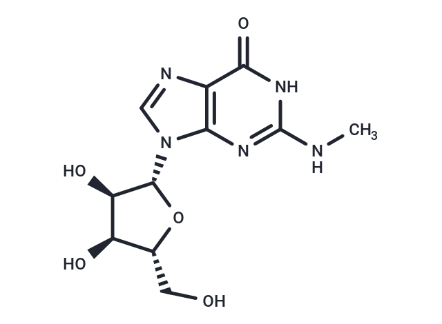 N2-Methylguanosine