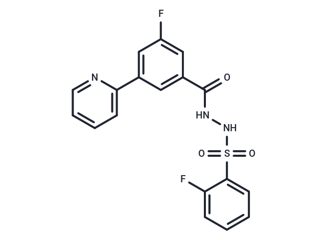 WM-1119