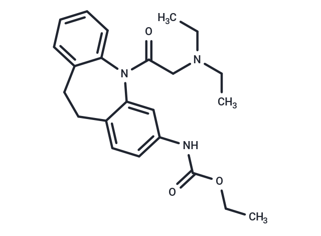 CINPA1