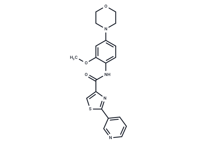 IRAK inhibitor 6