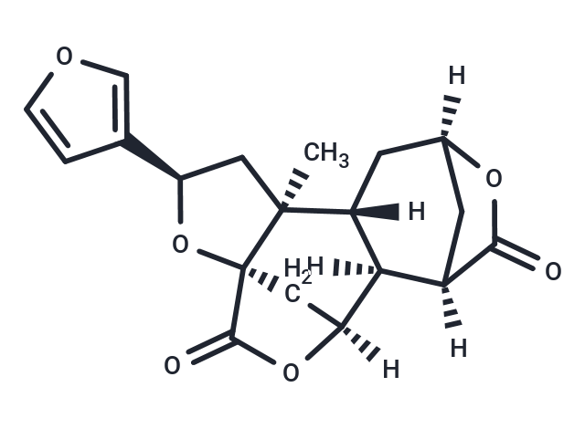 Diosbulbin B