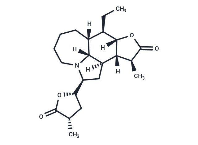 Tuberostemonine