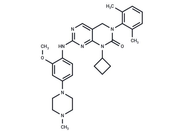 YKL-06-061