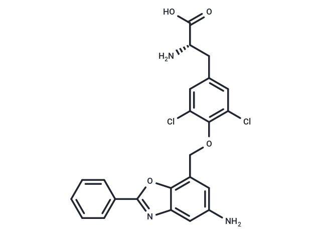 JPH203