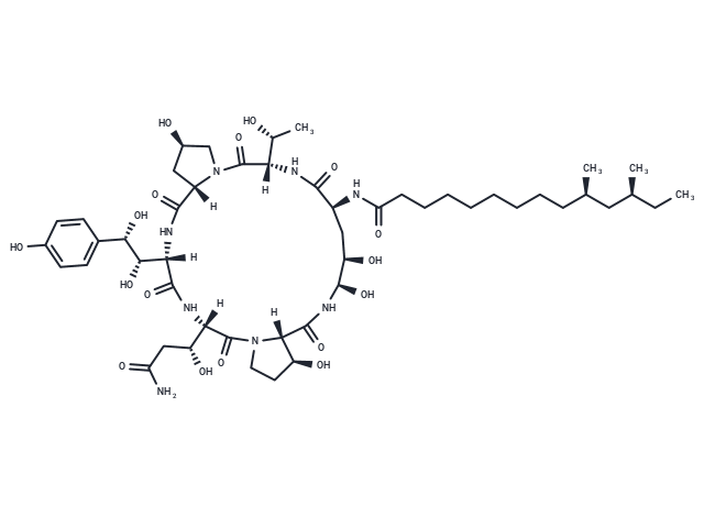 Pneumocandin B0