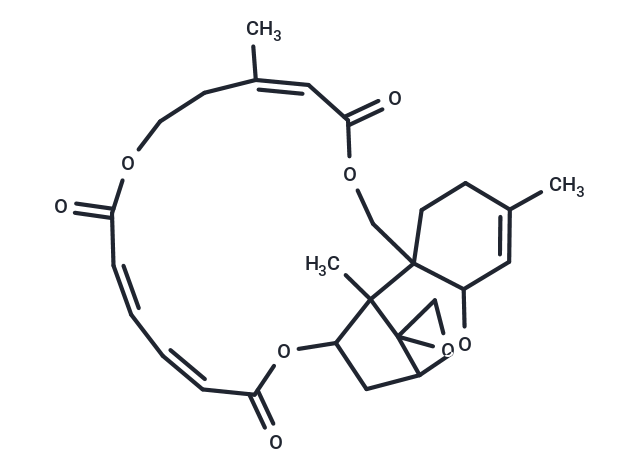 Verrucarin J