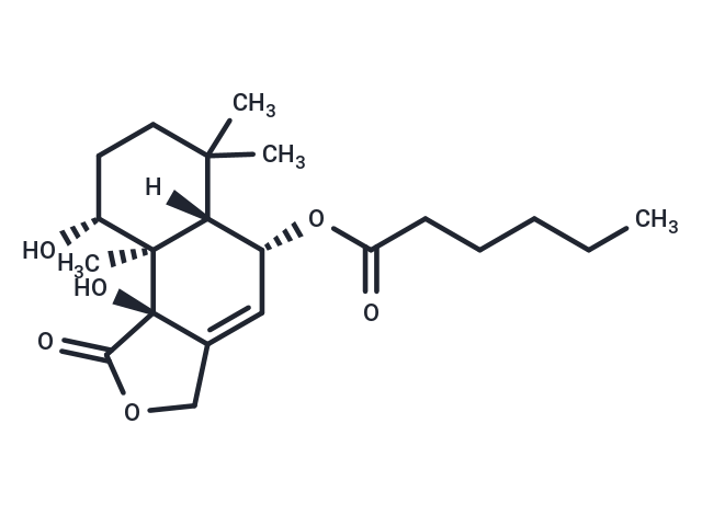 Nanangenine B