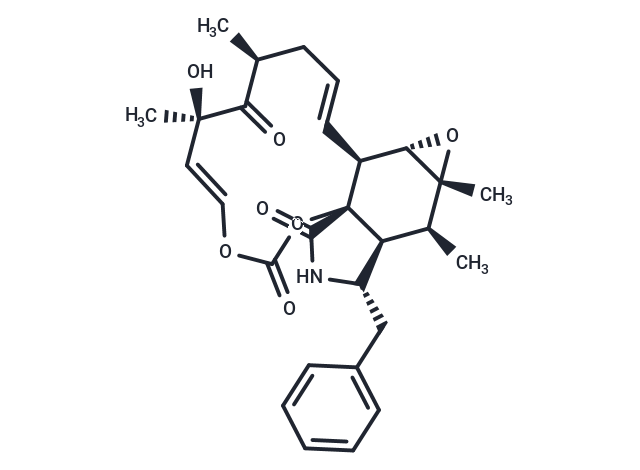 Cytochalasin E