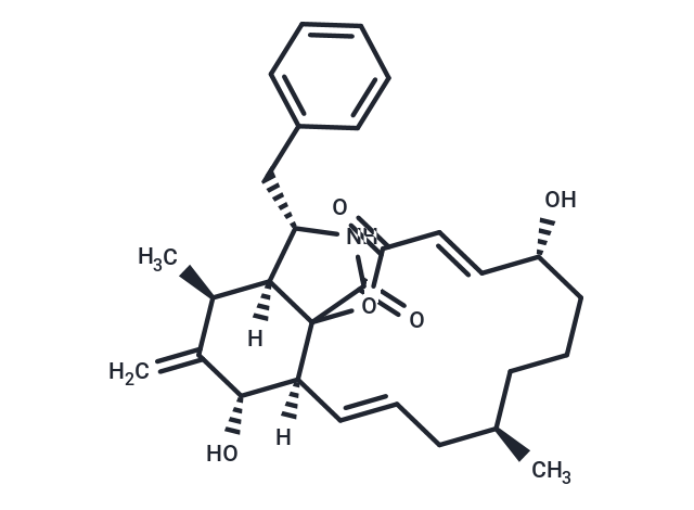 Cytochalasin B